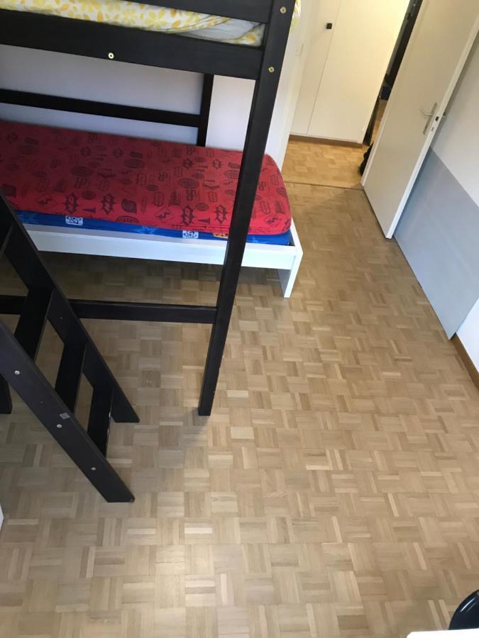 Geneva Bernex - Shared Appartement Roomate Homestay - Tramway 14 Tpg - Viarhona Exterior foto