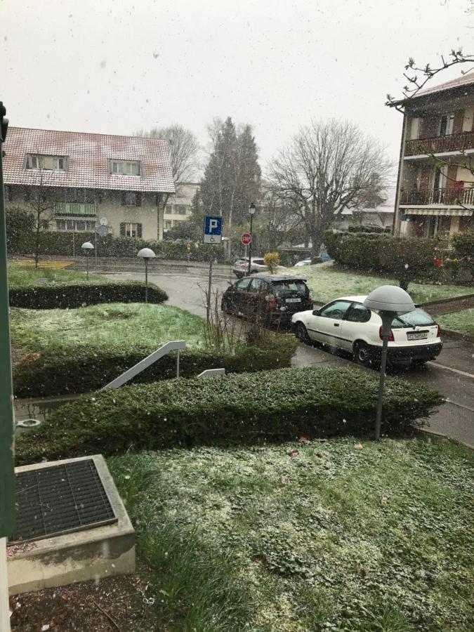 Geneva Bernex - Shared Appartement Roomate Homestay - Tramway 14 Tpg - Viarhona Exterior foto
