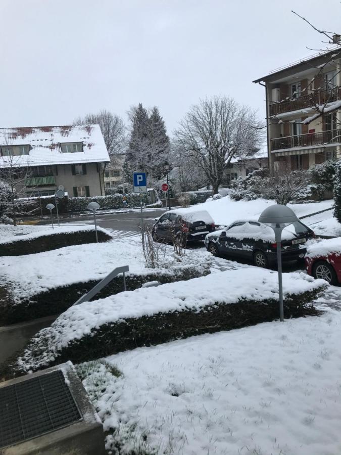 Geneva Bernex - Shared Appartement Roomate Homestay - Tramway 14 Tpg - Viarhona Exterior foto